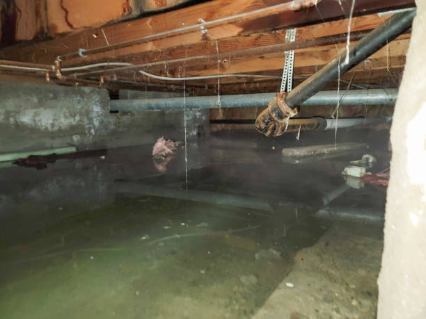 Best Water damage restoration near me  in Union City, CA