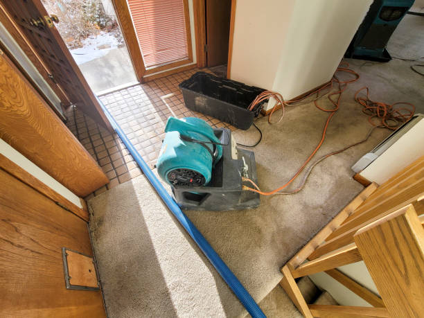 Best Water damage contractors near me  in Union City, CA