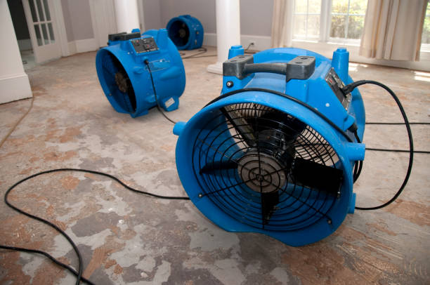 Best Water damage cleanup near me  in Union City, CA